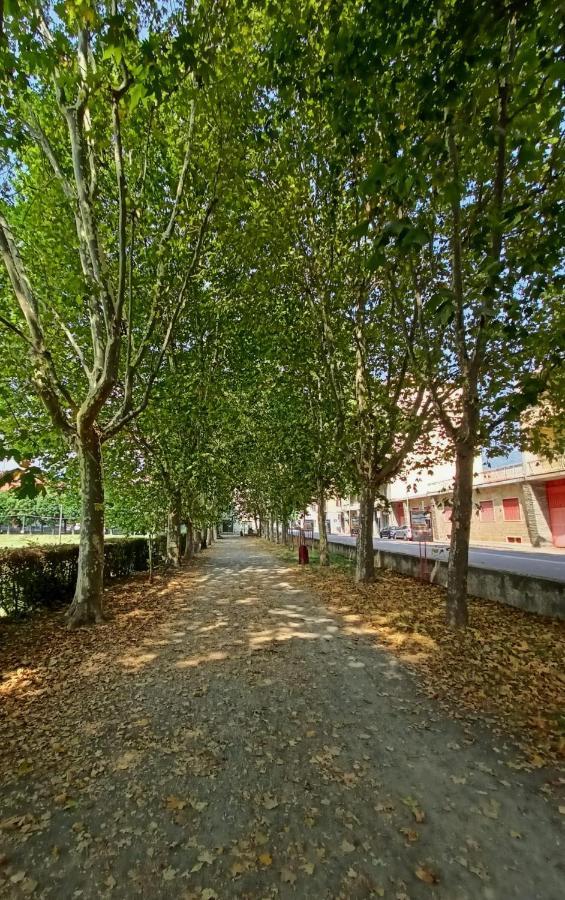 Casa Caty Διαμέρισμα Πινερόλο Εξωτερικό φωτογραφία